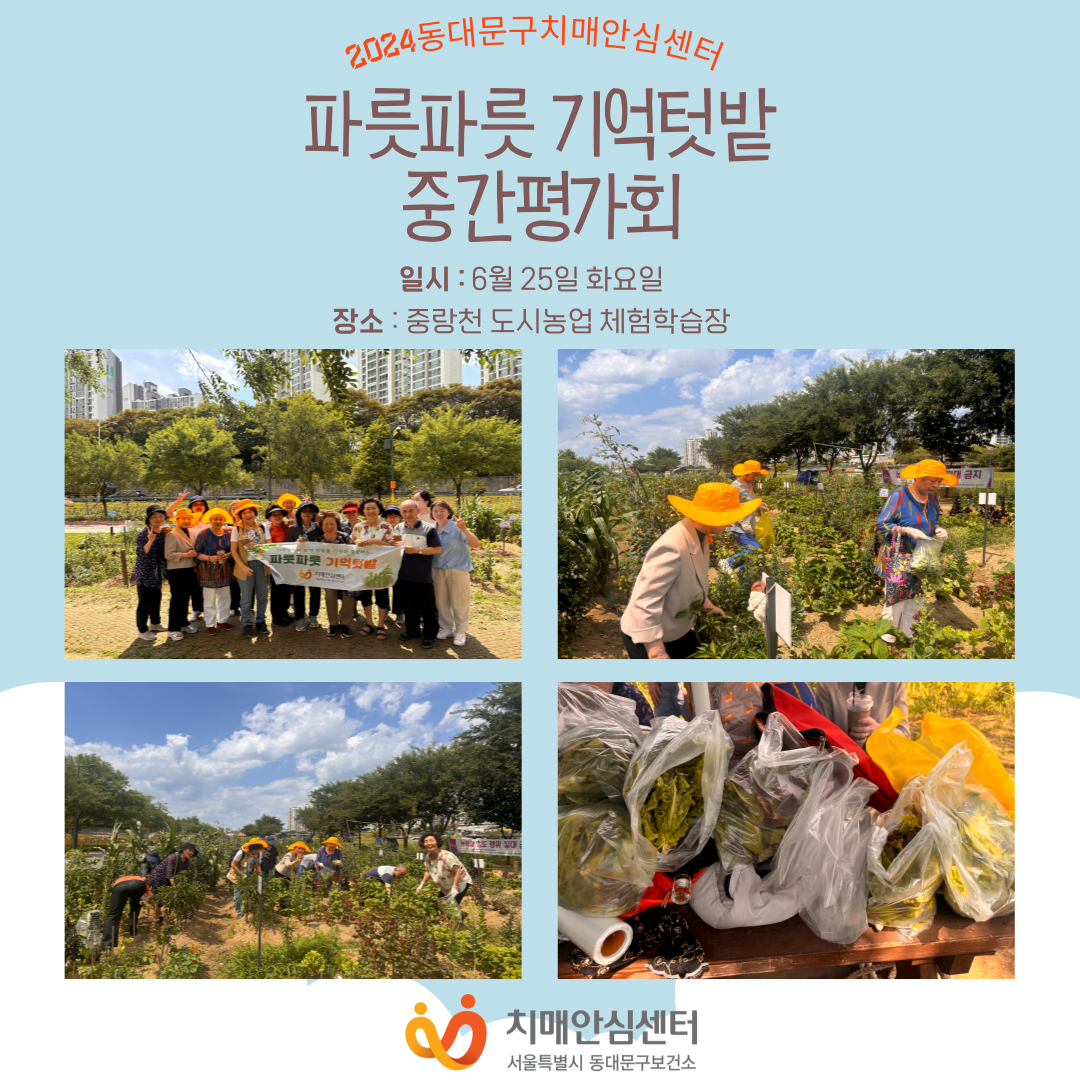 [빮] ĸĸ Թ ߰ȸ